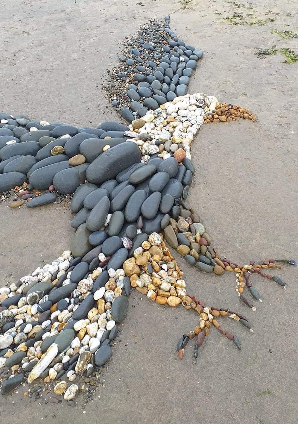 land art, aigle en caillou sur du sable